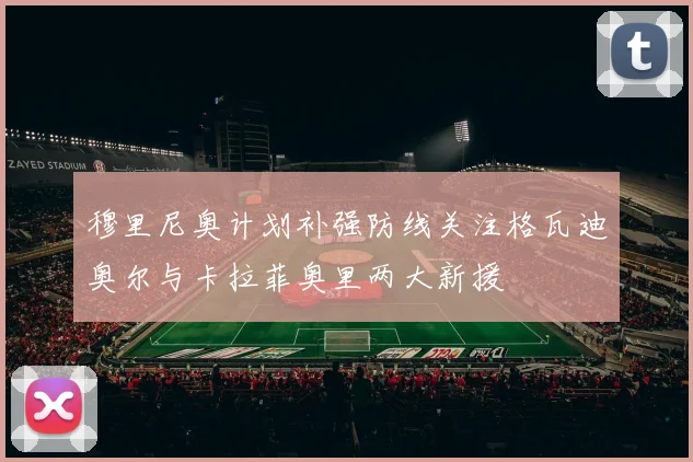 穆里尼奥计划补强防线关注格瓦迪奥尔与卡拉菲奥里两大新援