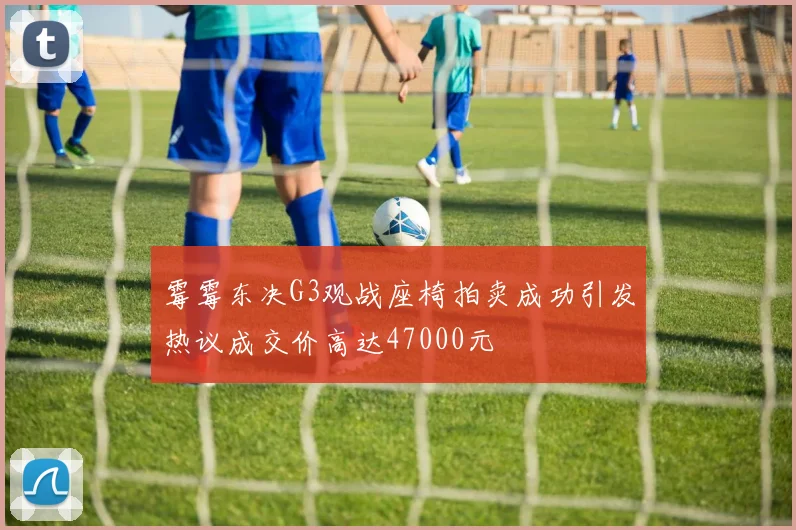 霉霉东决G3观战座椅拍卖成功引发热议成交价高达47000元