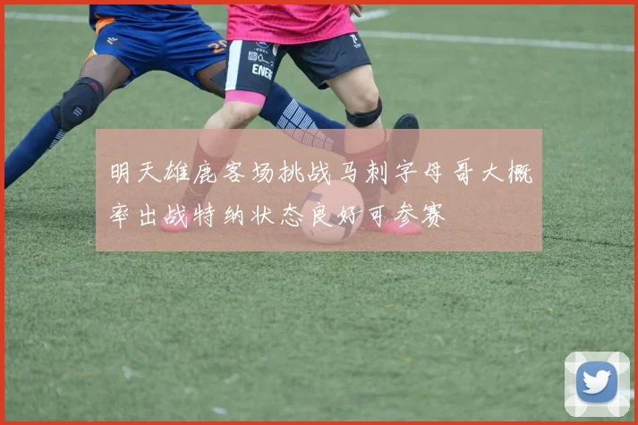 明天雄鹿客场挑战马刺字母哥大概率出战特纳状态良好可参赛